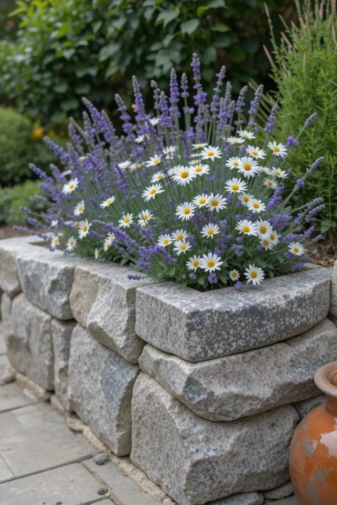 A raised flower bed constructed with natural granite stones, filled with lavender and white daisies.